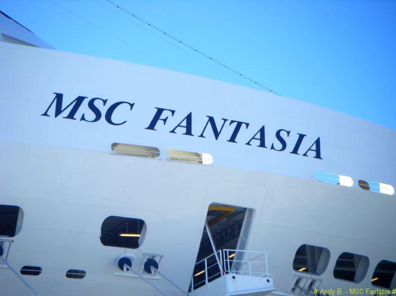 MSC Fantasia - le bateau (22).jpg